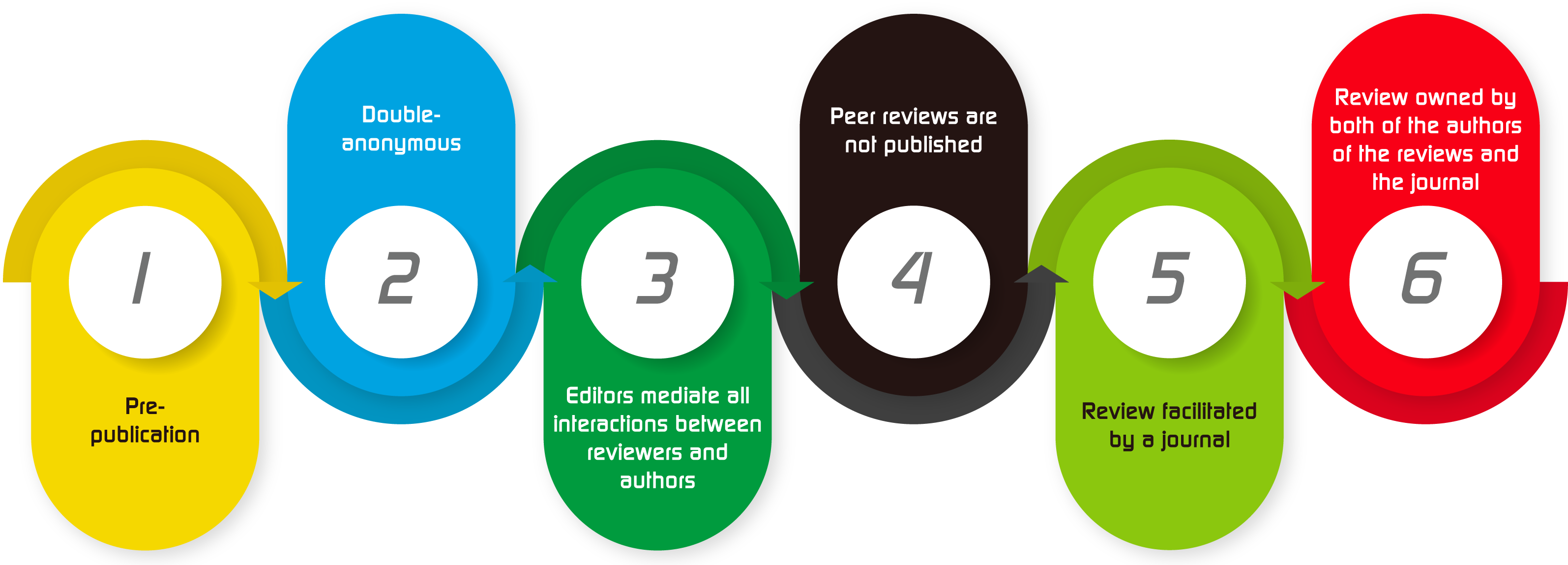 SciEd Journal Peer Review Process